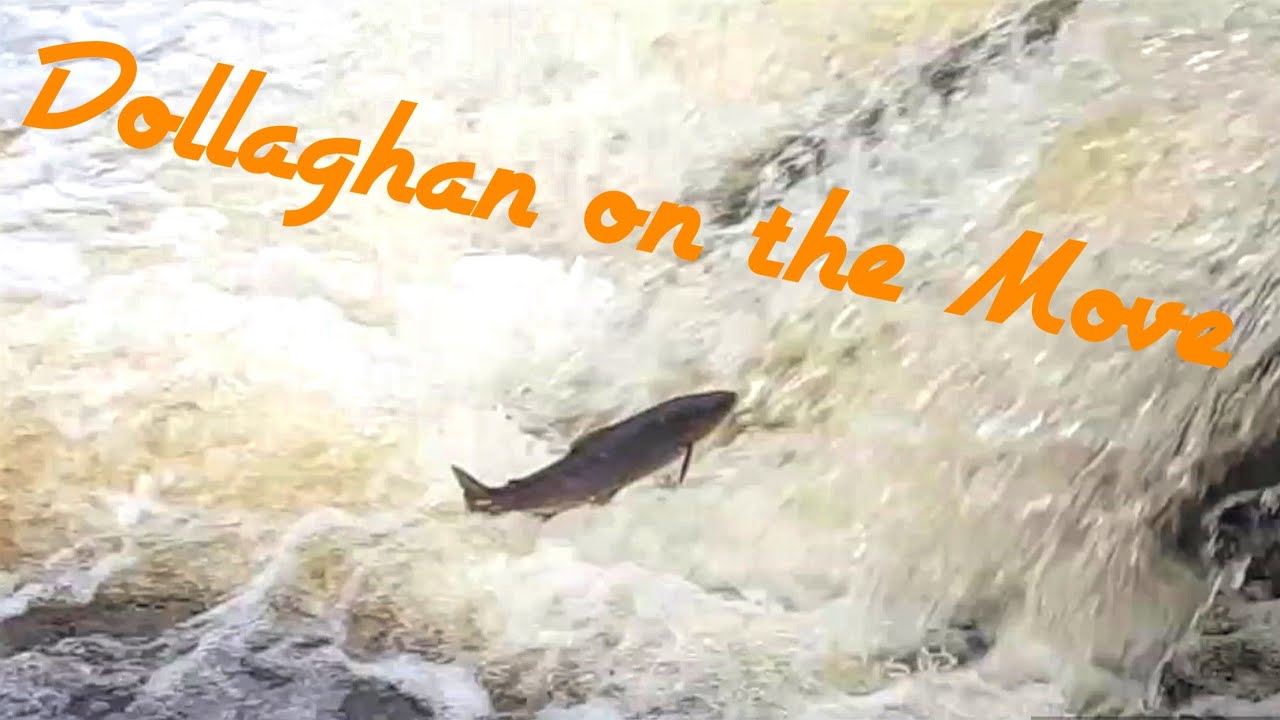 Dollaghan running the Sixmile Water 2018