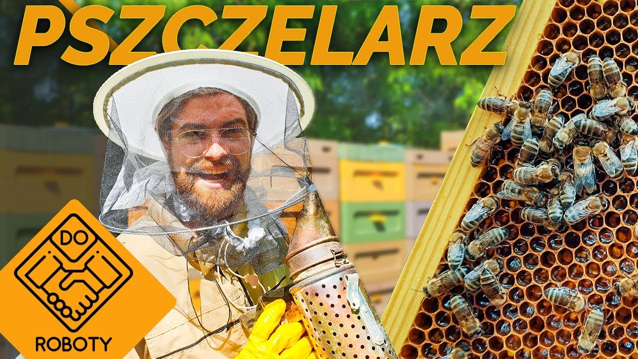 PRACA PSZCZELARZA. Jak wygląda robota przy ulach? | DO ROBOTY