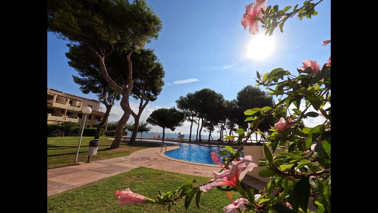 APARTAMENTO EN LA PLAYA EN ALCANAR COSTA #viveloconnosotros
