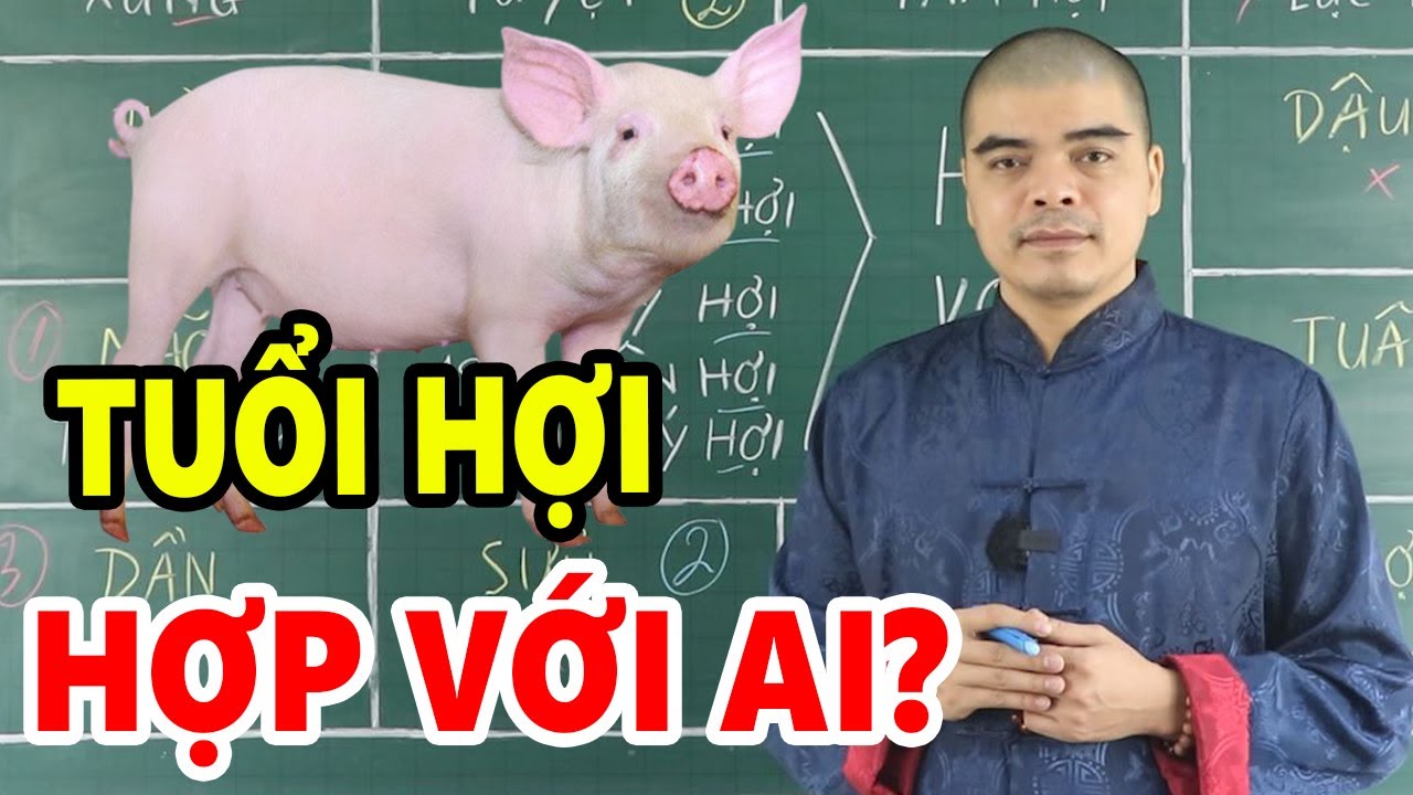 Tuổi HỢI (tuổi con LỢN) hợp với ai KẾT HỢP LÀM ĂN - KẾT HÔN - SINH CON hợp tuổi nào? Kỵ tuổi nào?
