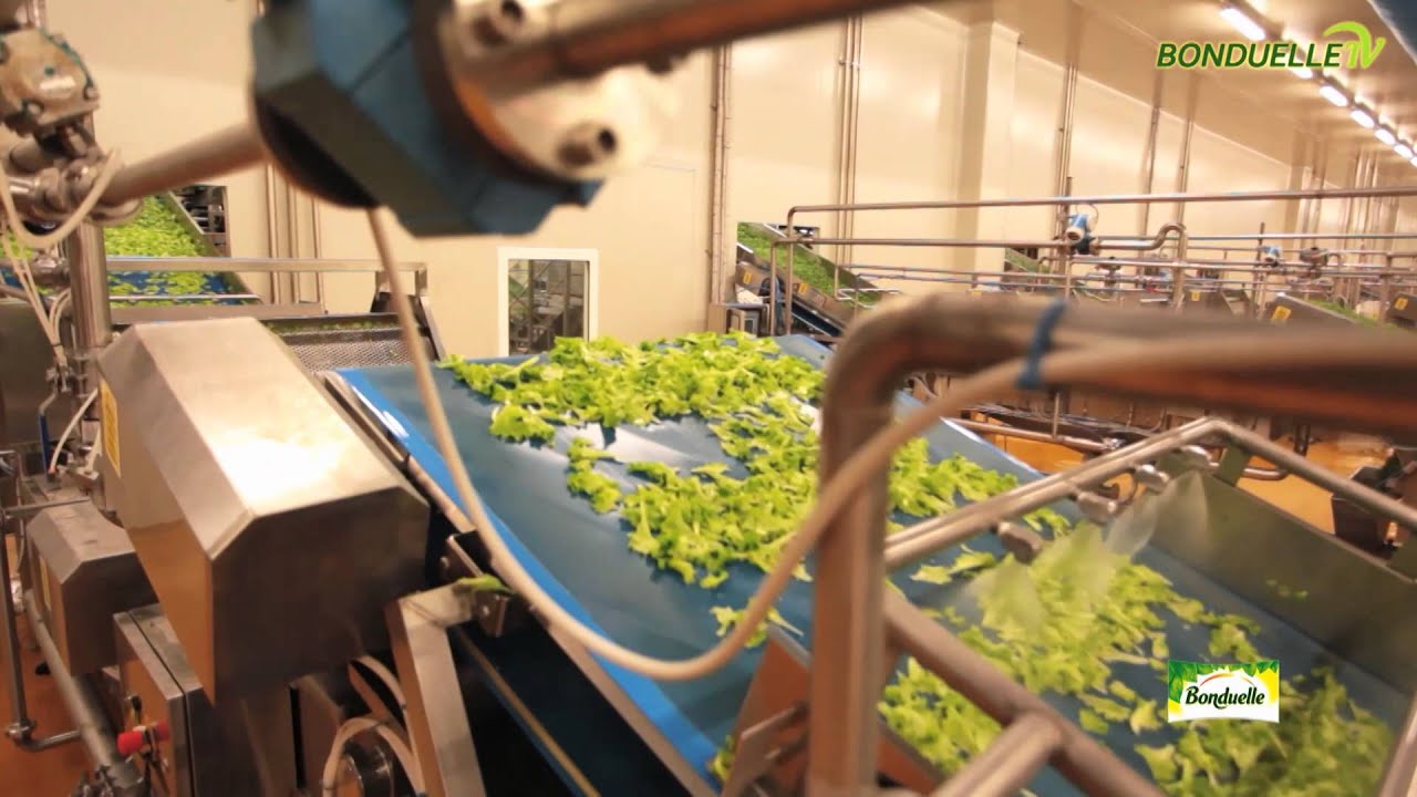 La linea di produzione - Bonduelle TV - La via della freschezza