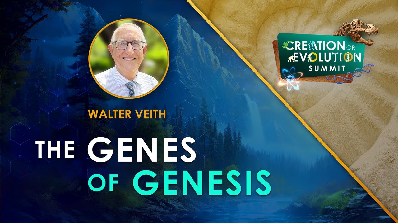 Creation or Evolution: 