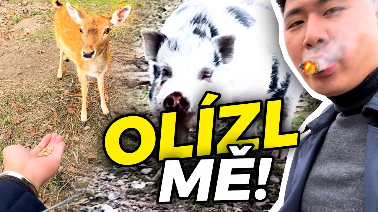 ASIAT NA FARMĚ? Zvířata se mě vůbec nebojí! 🐷🙋‍♂️