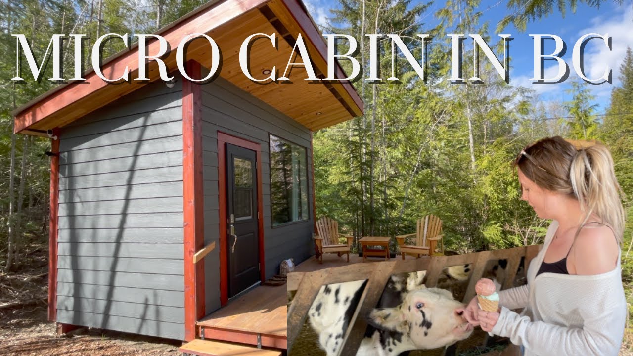 Staying in a Micro Cabin! (4 days of unplugging in BC)