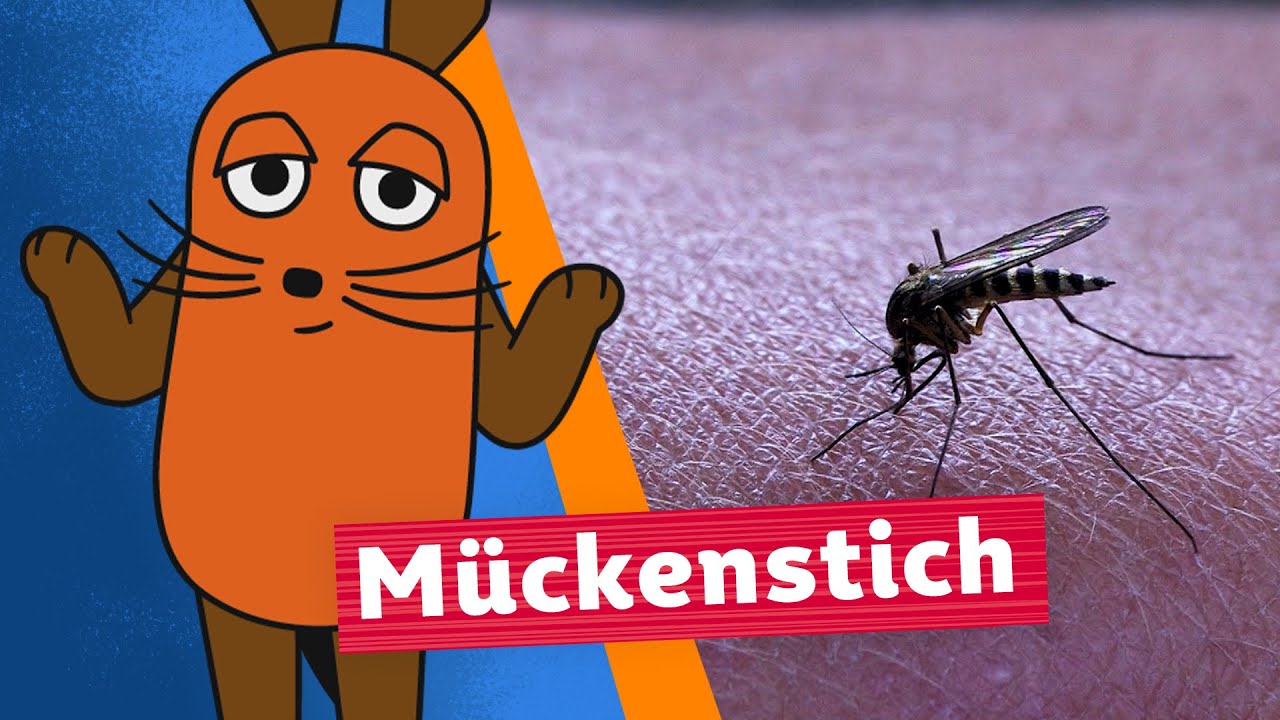 Warum sticht die Mücke? | Die Maus | WDR