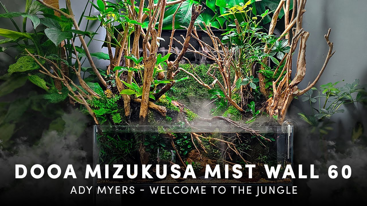 ЭДИ МАЙЕРС - ДОБРО ПОЖАЛОВАТЬ В ДЖУНГЛИ - DOOA MIZUKUSA MIST WALL 60