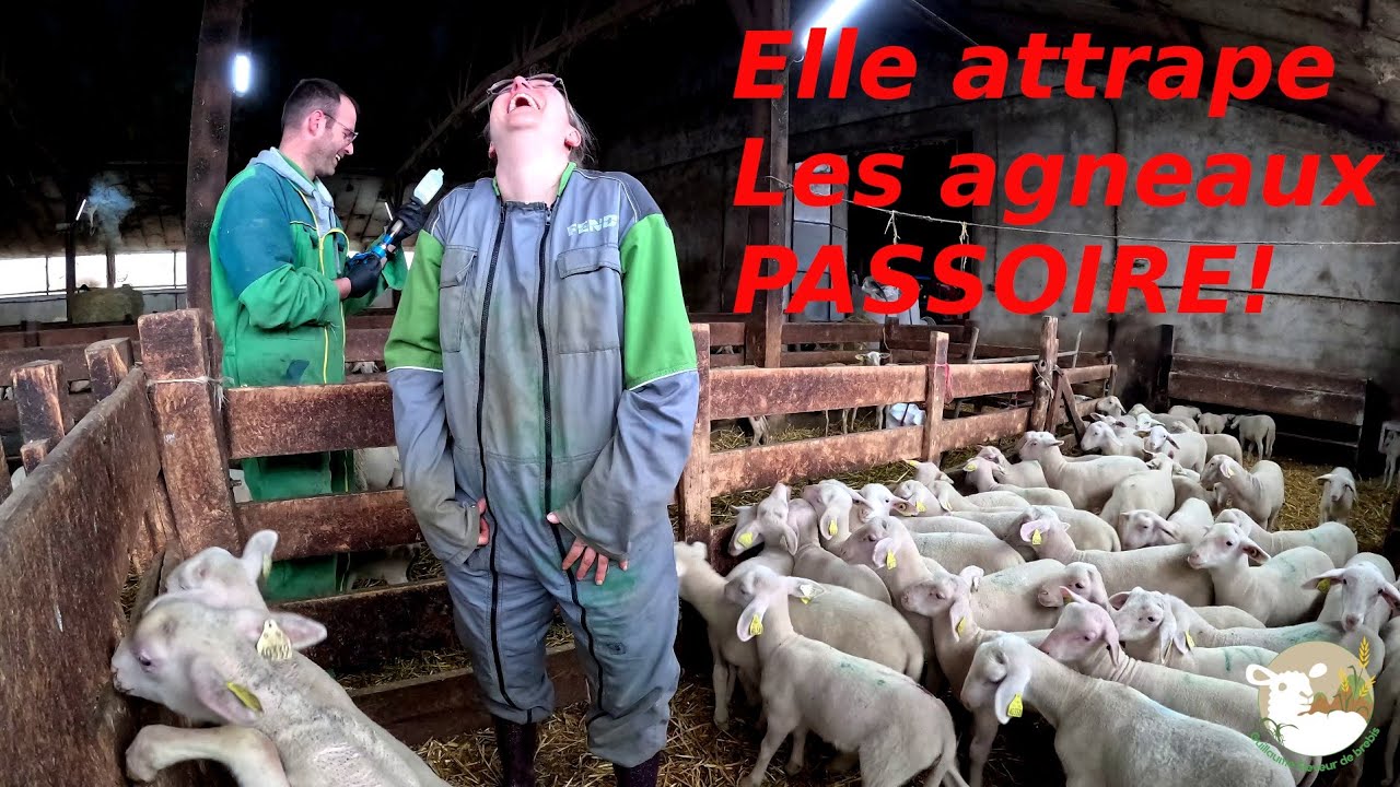 On ce retrouve &agrave; deux pour le travail, mauvaise id&eacute;e. N&deg;250