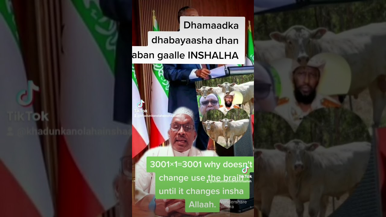 La dagaalanka dhiqlaha ama kutaanta ee muse biixe abdi iyo Ismaaciil Omar geele plus beyond inshaAl