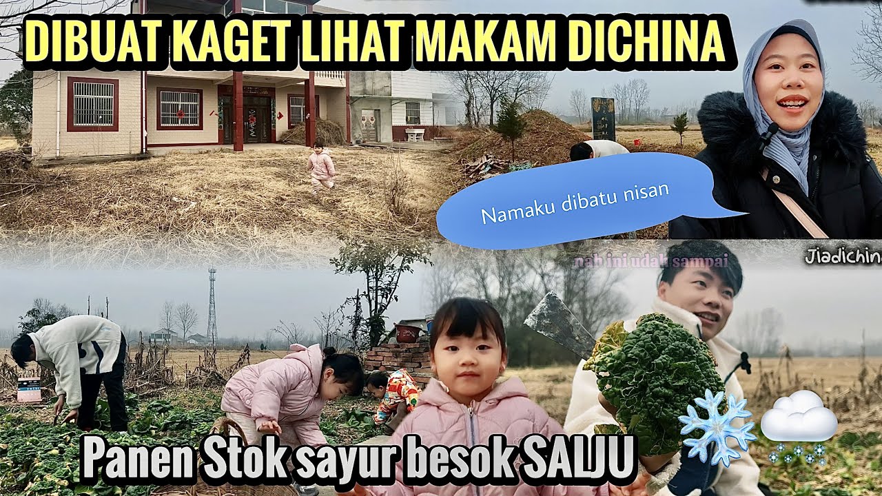 KAGET KETIKA LIAT BATU NISAN CHINA ADA NAMAKU LALU PANEN SAYUR STOK SEBELUM BADAI SALJU TIBA