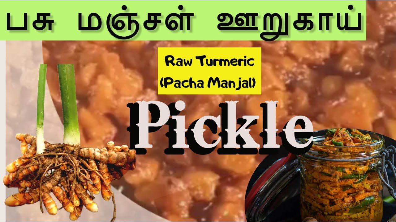 Fresh Turmeric Pickle | Manjal kizhangu oorukai | Pacha Manjal Pickle Recipe in tamil | ஊறுகாய்