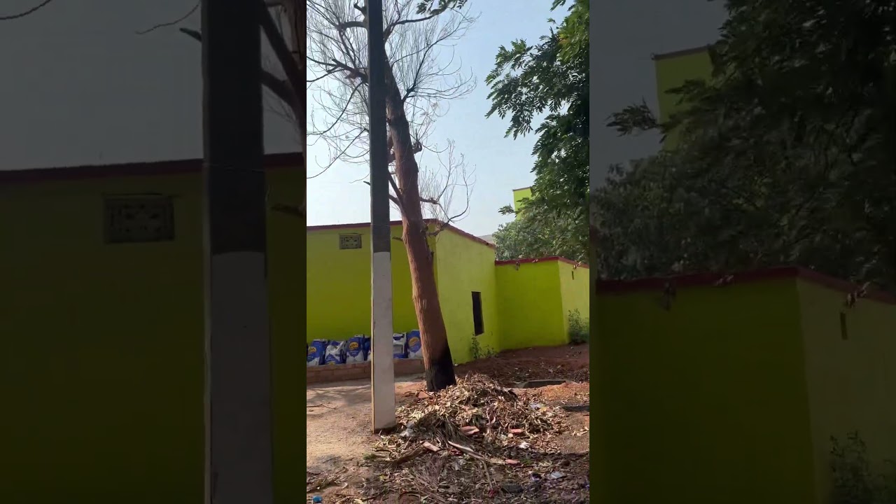 Dav VivekanandaPublicSchool Bero #jainnavkirtyworld #travel  #jainsmworld #vlog Jharkhand ￼#Bero