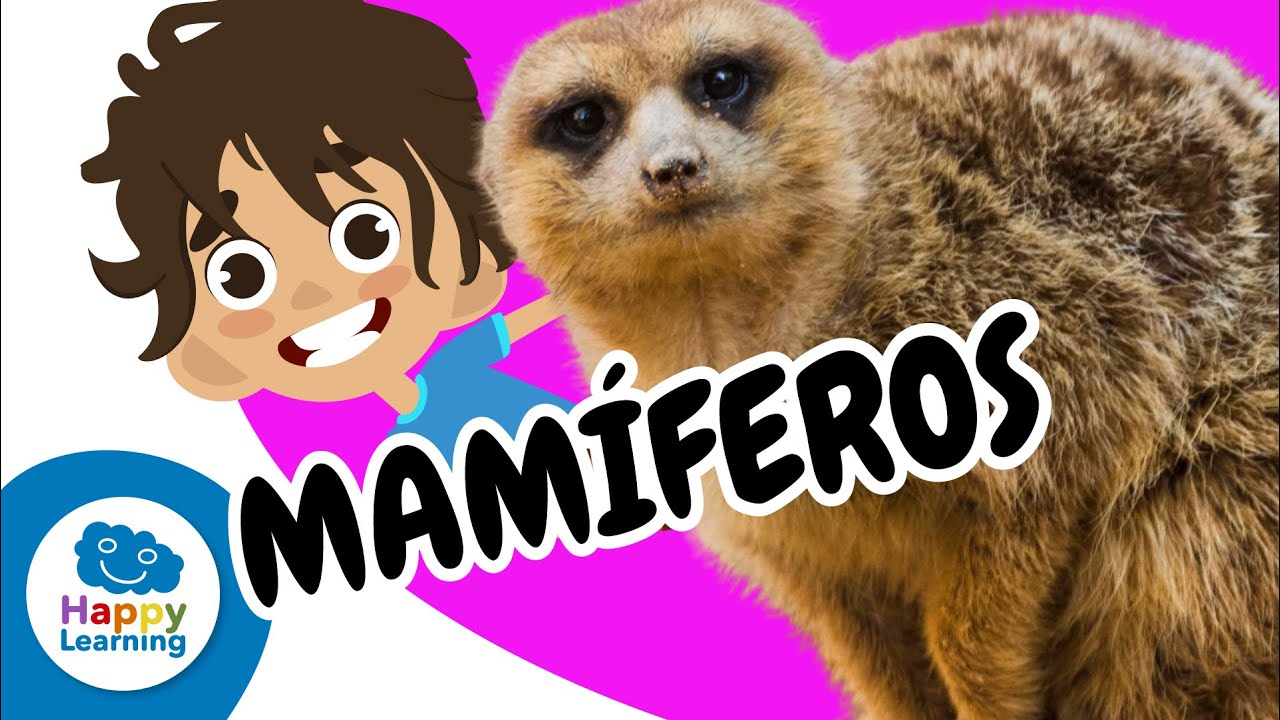 🐾 LOS MAM&Iacute;FEROS y sus incre&iacute;bles caracter&iacute;sticas | V&iacute;deos Educativos para Ni&ntilde;os | @HappyLearningES