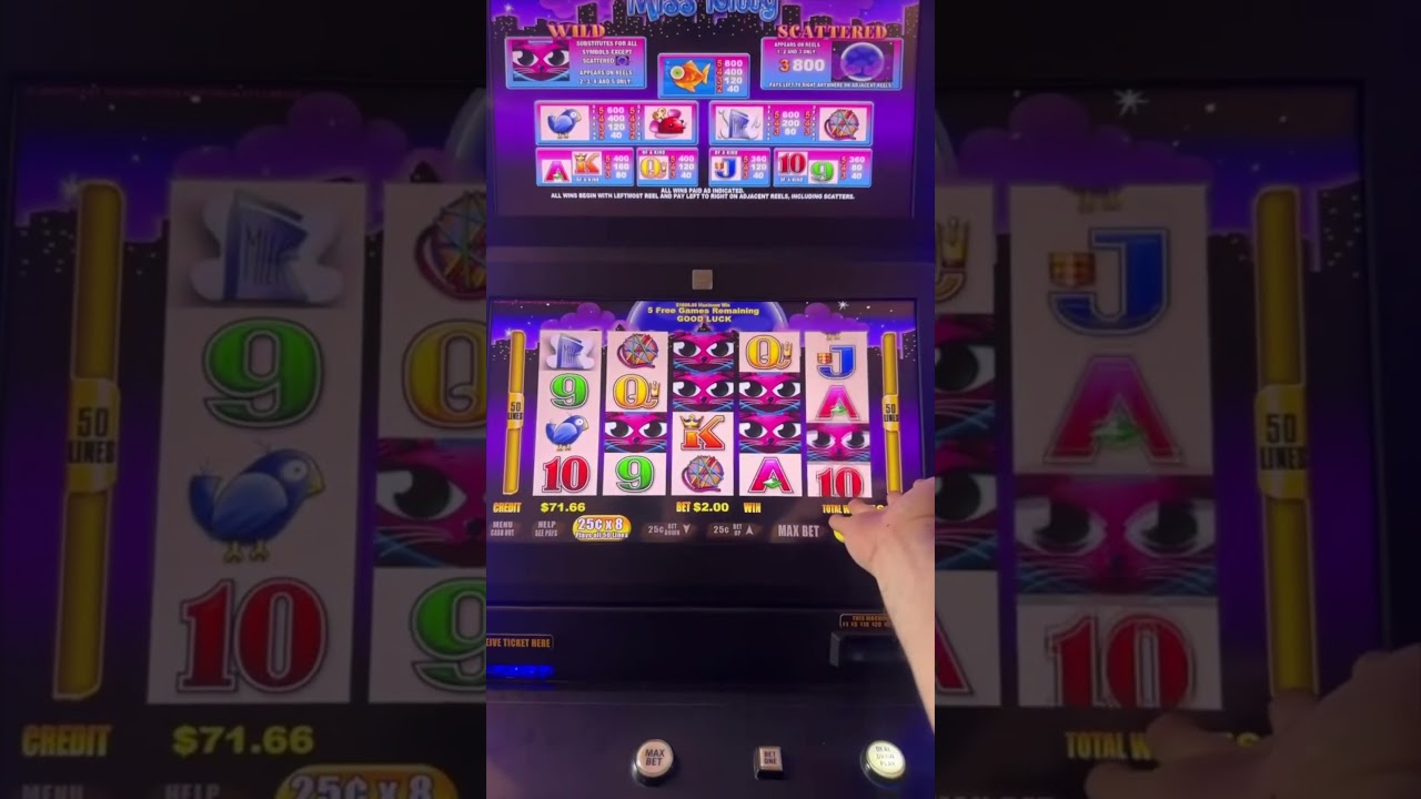 Huge Miss Kitty Slot Machine Bonus! Max Bet!