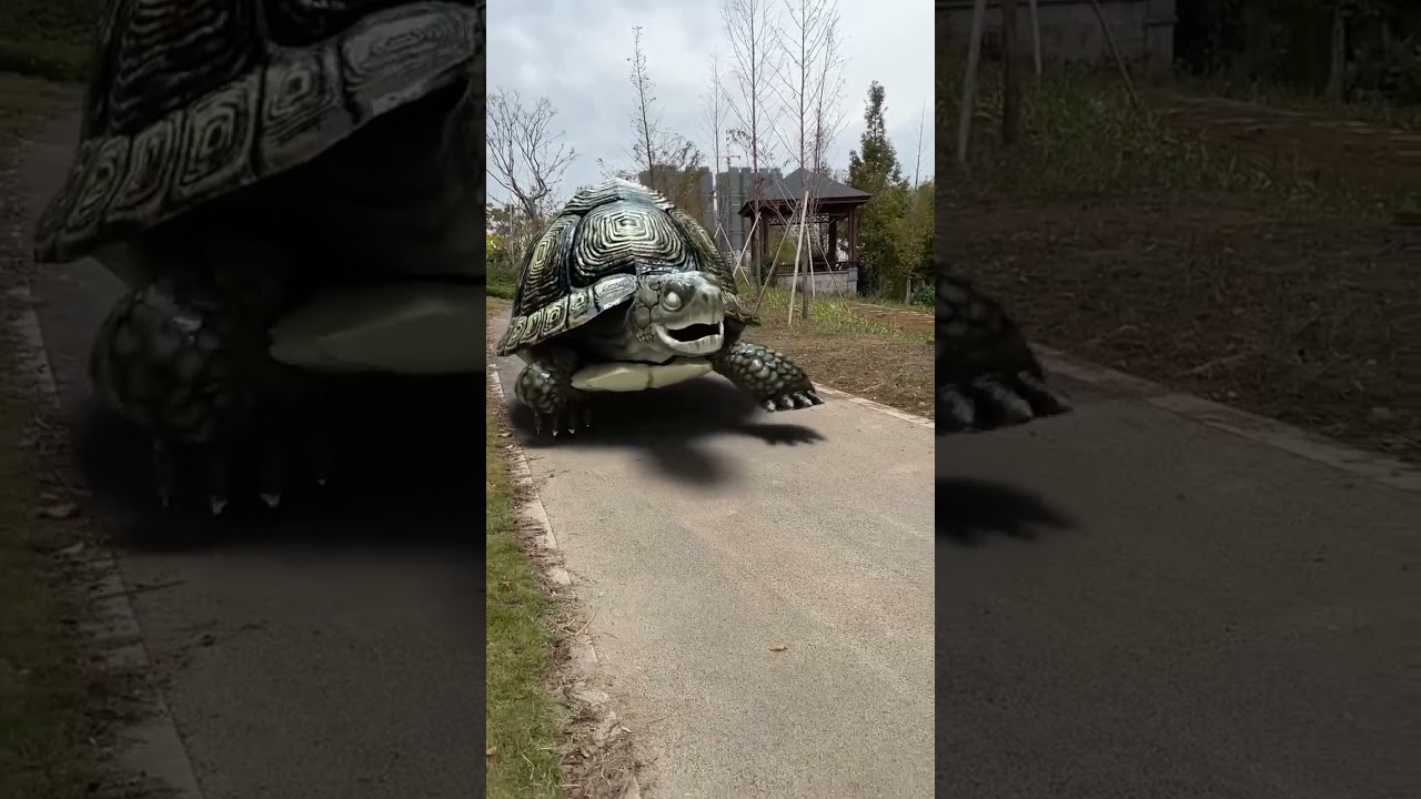 The thousand-year-old turtle🤯3D Special Effects | 3D Animation 