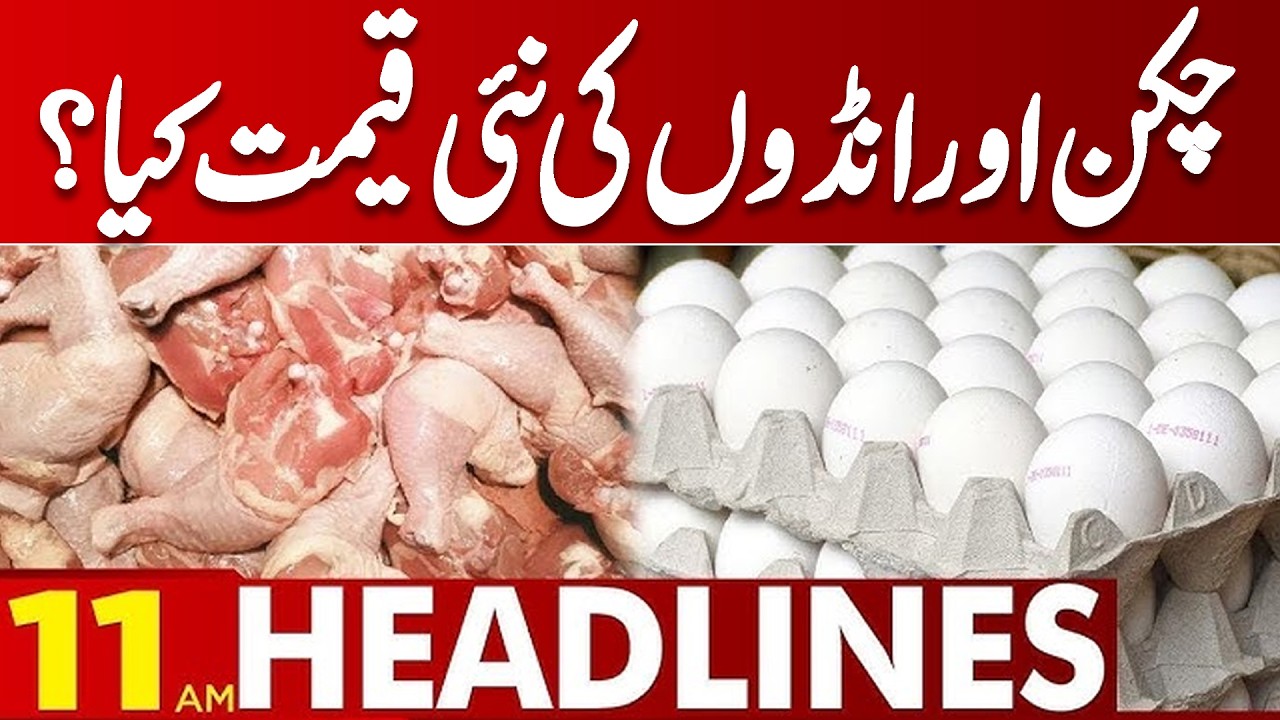 Latest Price Of Chicken And Eggs  | 11 AM Headlines | Lahore News HD