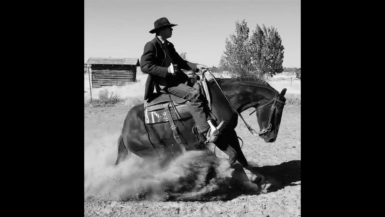 Timing a Horse’s Gait for Better Stops