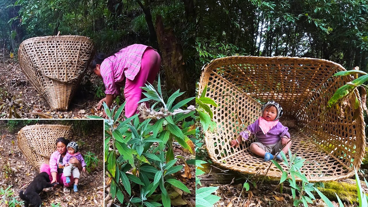 Jina Jonson & Tony in the Jungle || We are collecting dry leaves for sheep@pastorallifeofnepal
