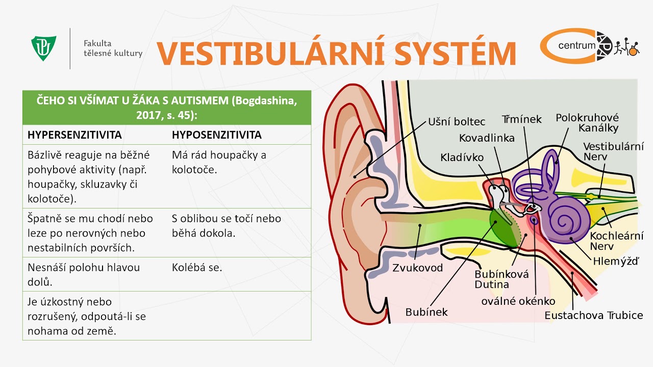 Specifika smyslového vnímání u žáků s poruchou autistického spektra