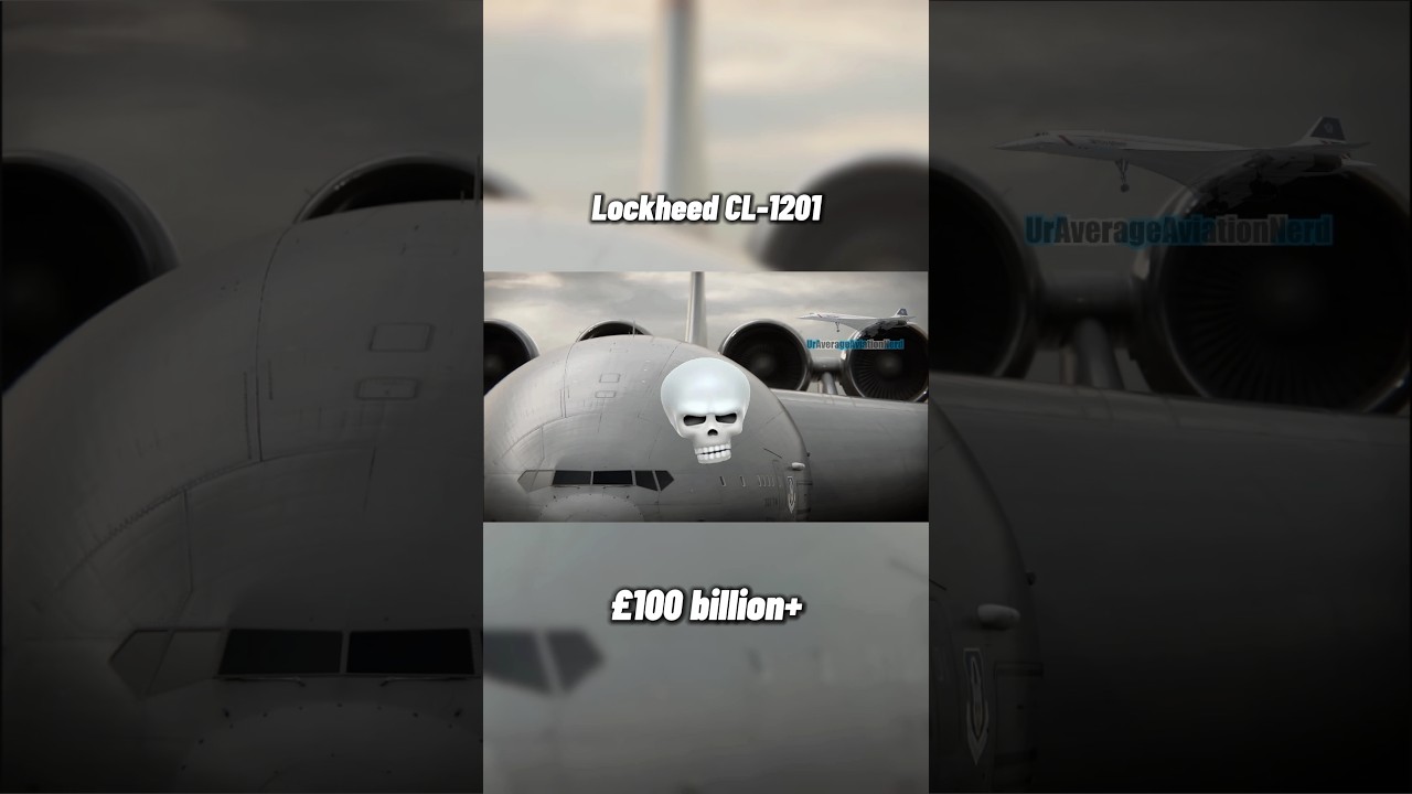B2 thinking it's the biggest plane VS this MF #aviation #airplane #edit #military #trending