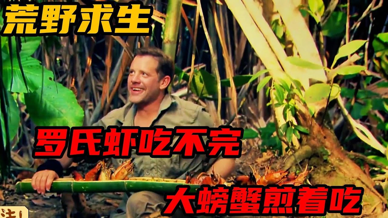 荒野求生：巴掌大的羅氏蝦根本吃不完，比臉還大的螃蟹煎著吃！#荒野 #冒险 #野外