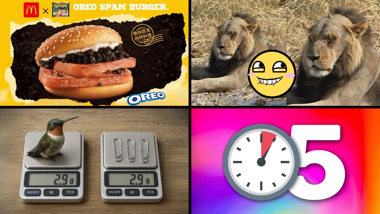 25 Cosas que NO Sabías hace 5 minutos!! ⏰😲 [248]