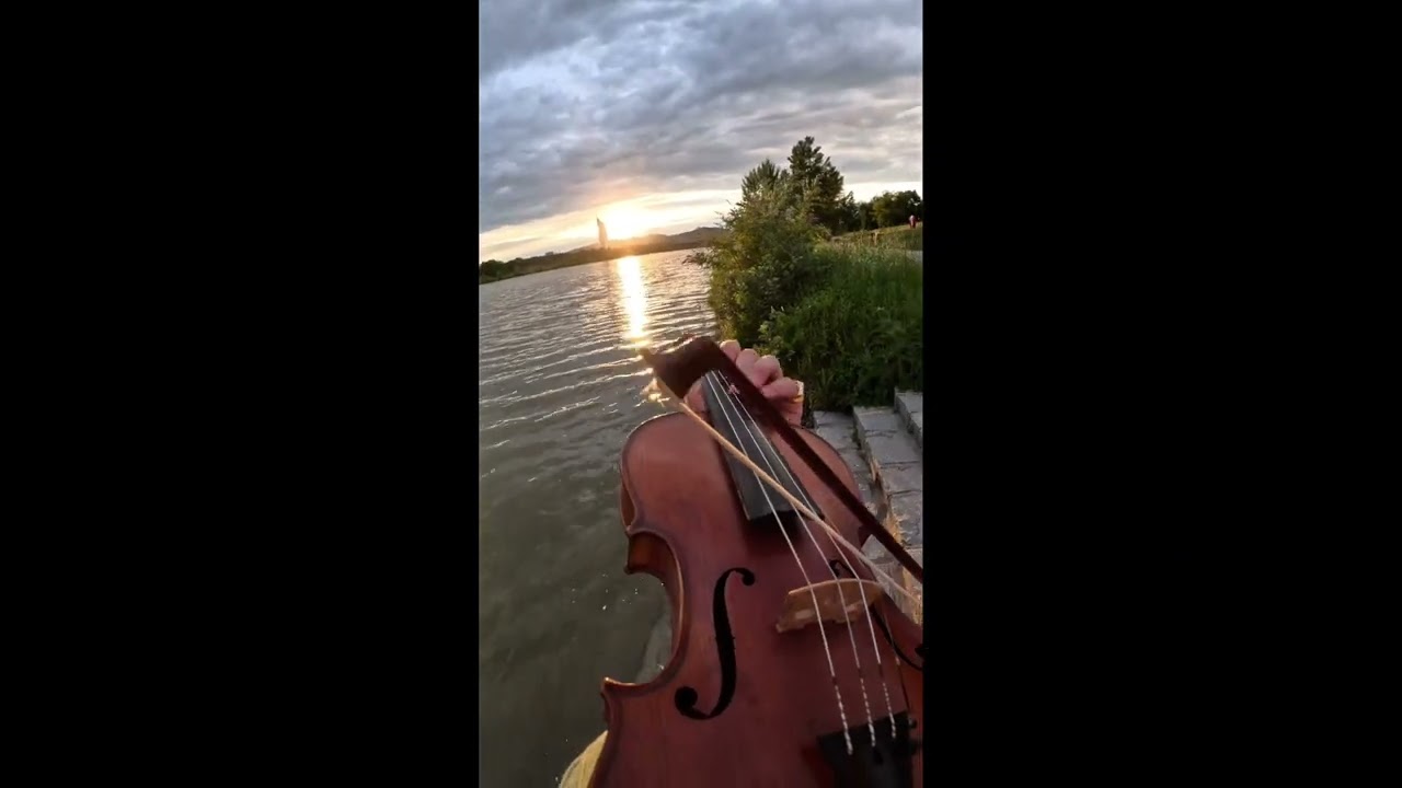 La Leçon Particulière- +20M Viral TikTok VIOLIN COVER POVIOLINIST