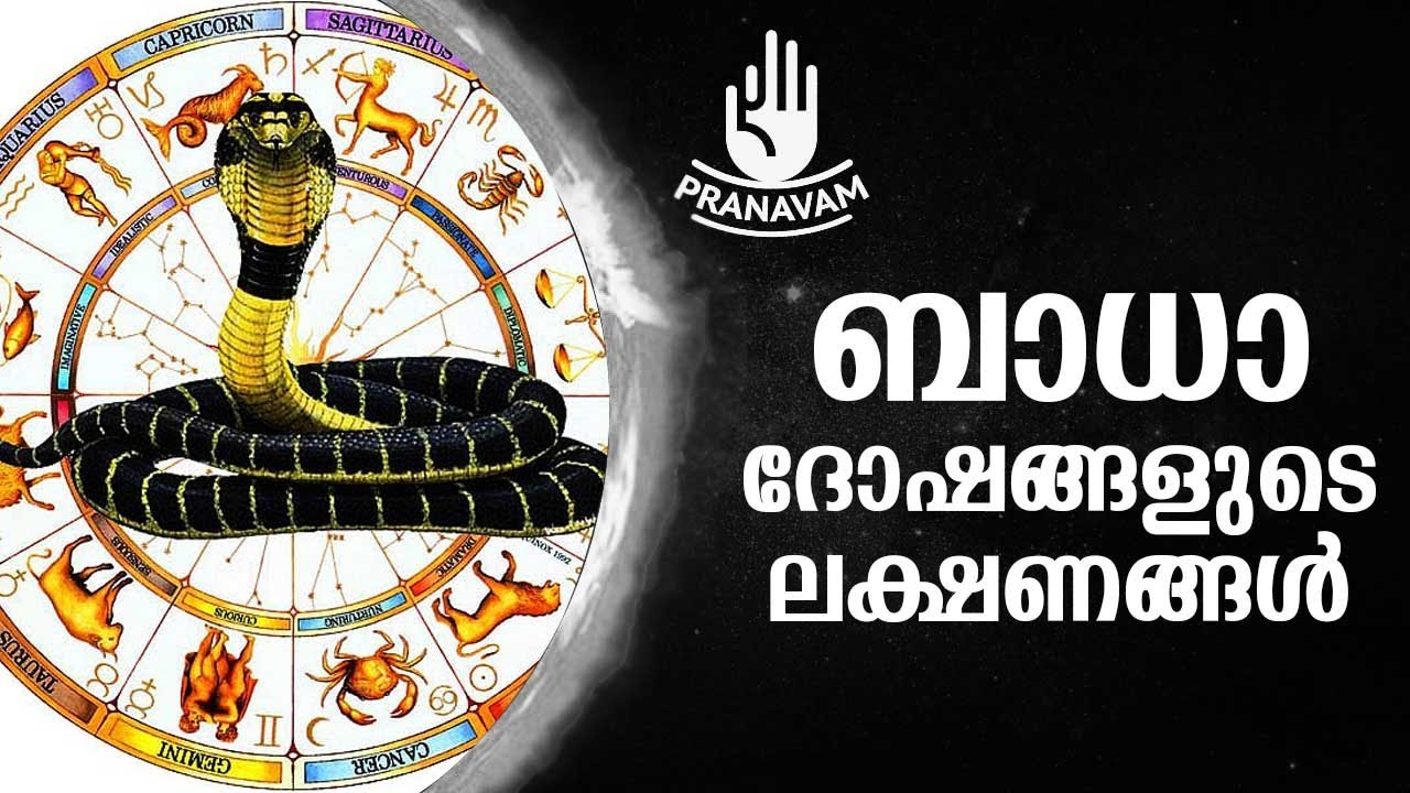ബാധാ ദോഷങ്ങളുടെ ലക്ഷണങ്ങൾ | Subhash Tantri | Pranavam | Kaumudy