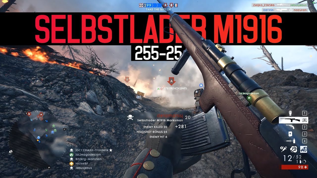 Selbstlader M1916 (255-25) - Battlefield 1
