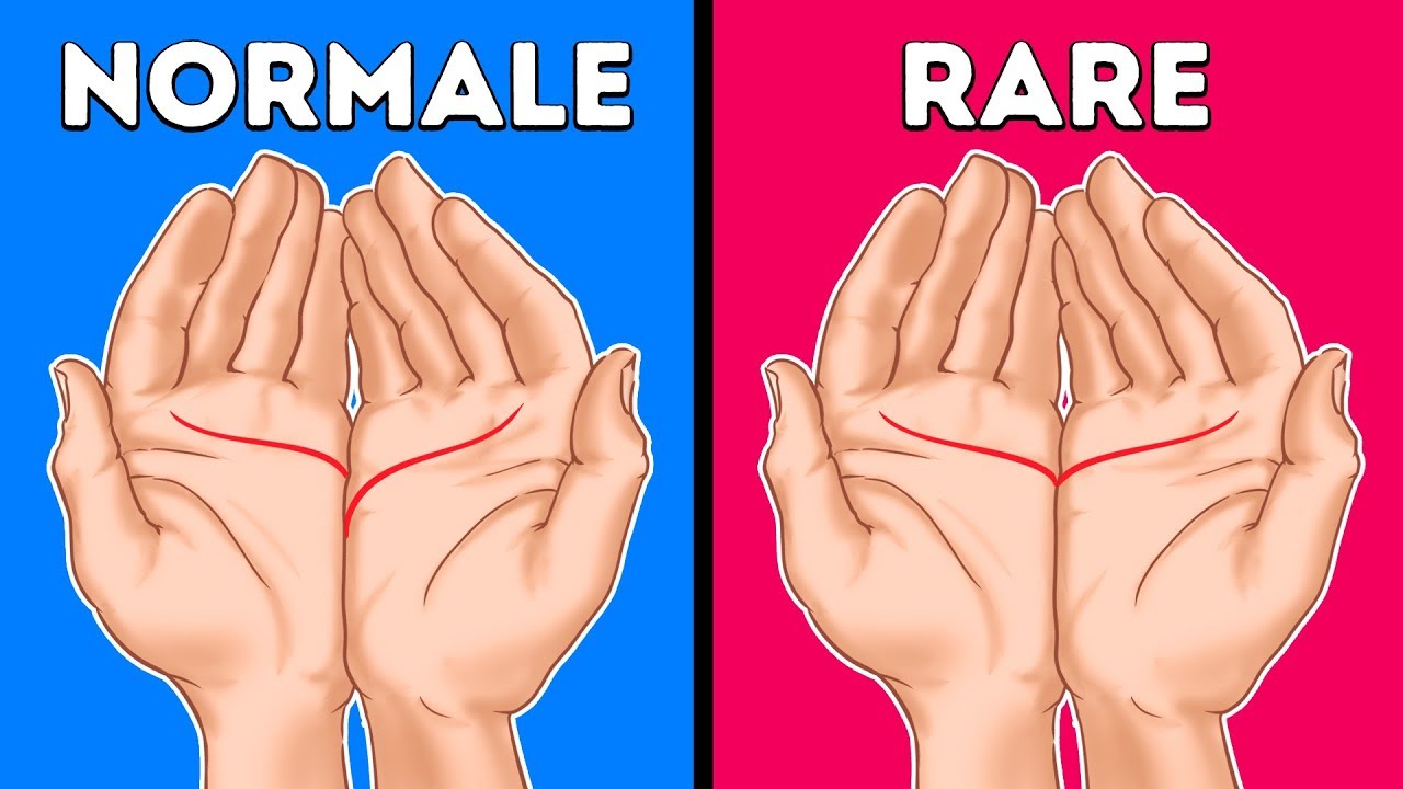 Laisse-moi Lire la Paume de ta Main et je te Dirai sa Signification