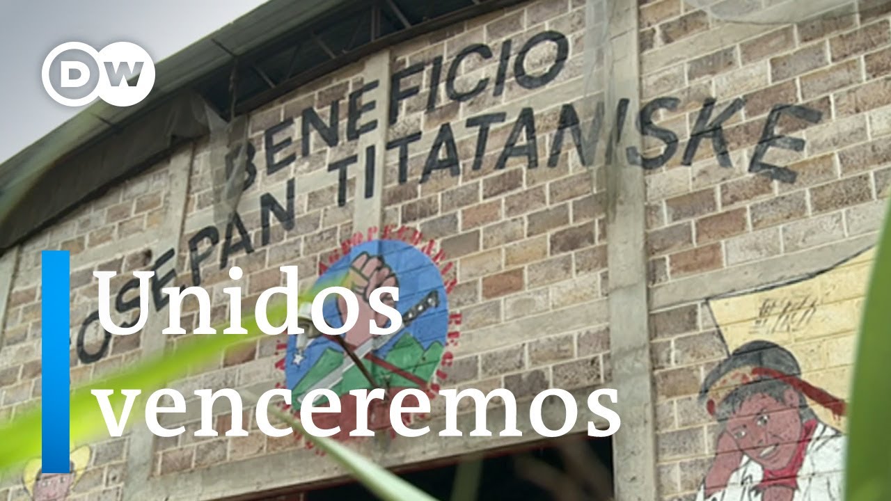 Tosepan, 42 años de cooperativismo indígena