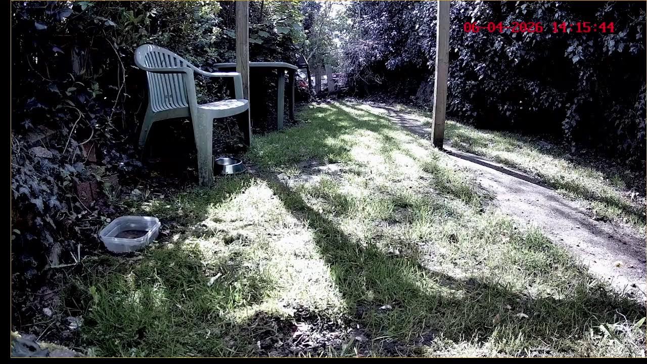 Graham's Nature Watch Channel Live Stream