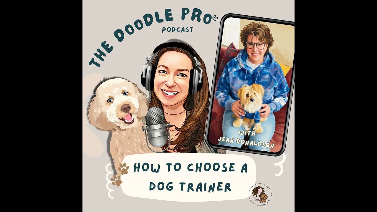 How to Choose a Dog Trainer and Get Your Dog to Listen Outside (Stop Jumping & Distraction Traini...