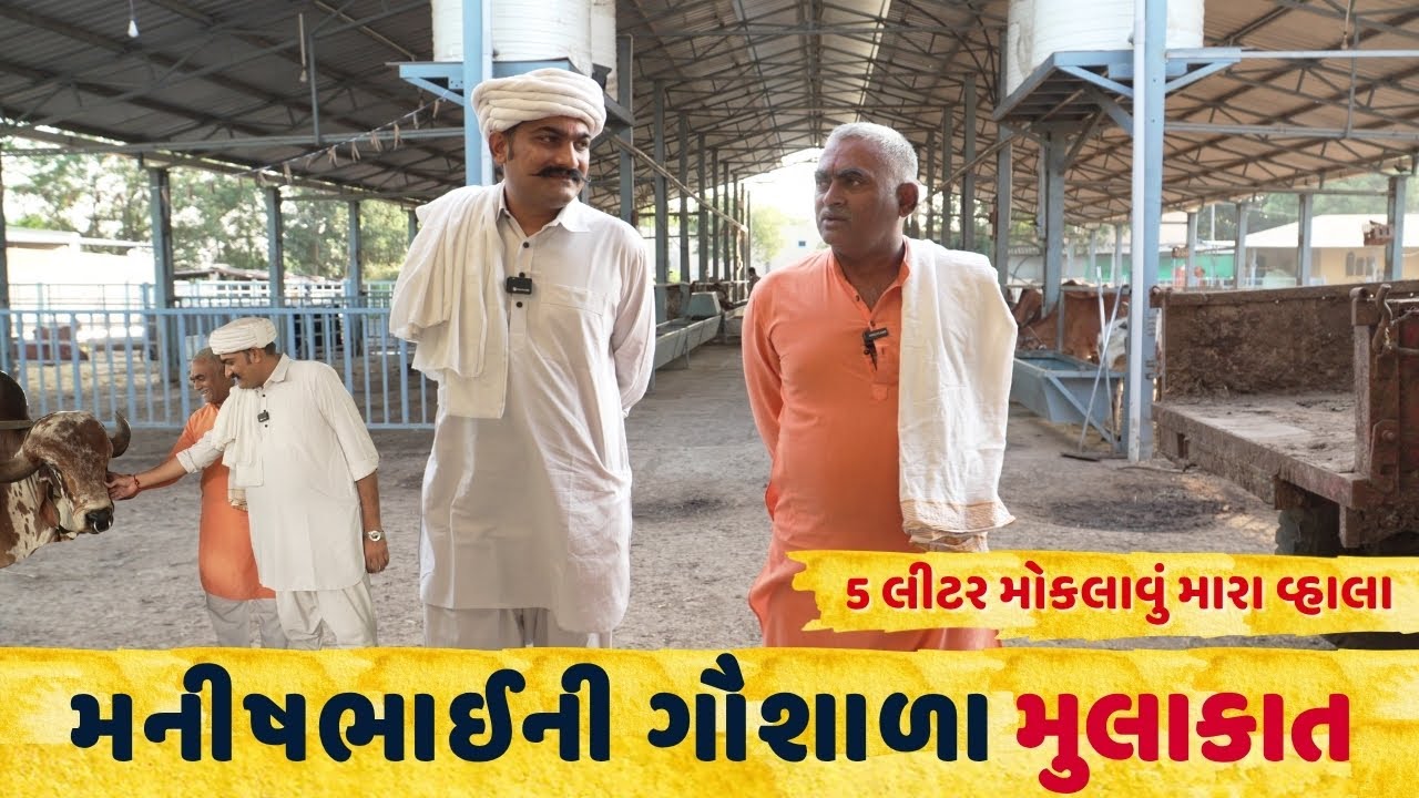 મનીષભાઈની વાડદોરીયા ( સહજ સીંગતેલ ) સાથેની એક અવિસ્મરણીય મુલાકાત | Rameshbhai Rupareliya