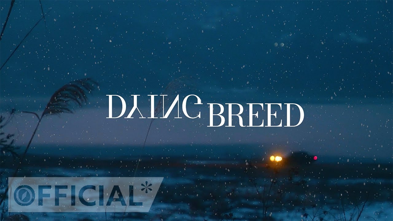 [MV] Jaedal(재달) - dying breed / Official Music Video