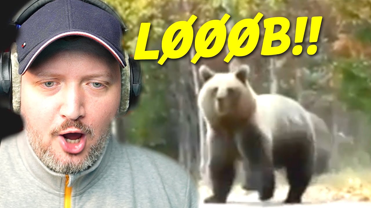 ...men SÅ KOM BJØRNEN!😱