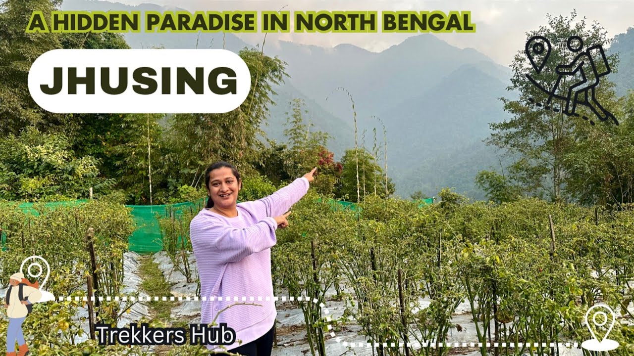Jhusing – Most Adventurous And Beautiful Hiking Route For Beginners | Hidden Offbeat Destination