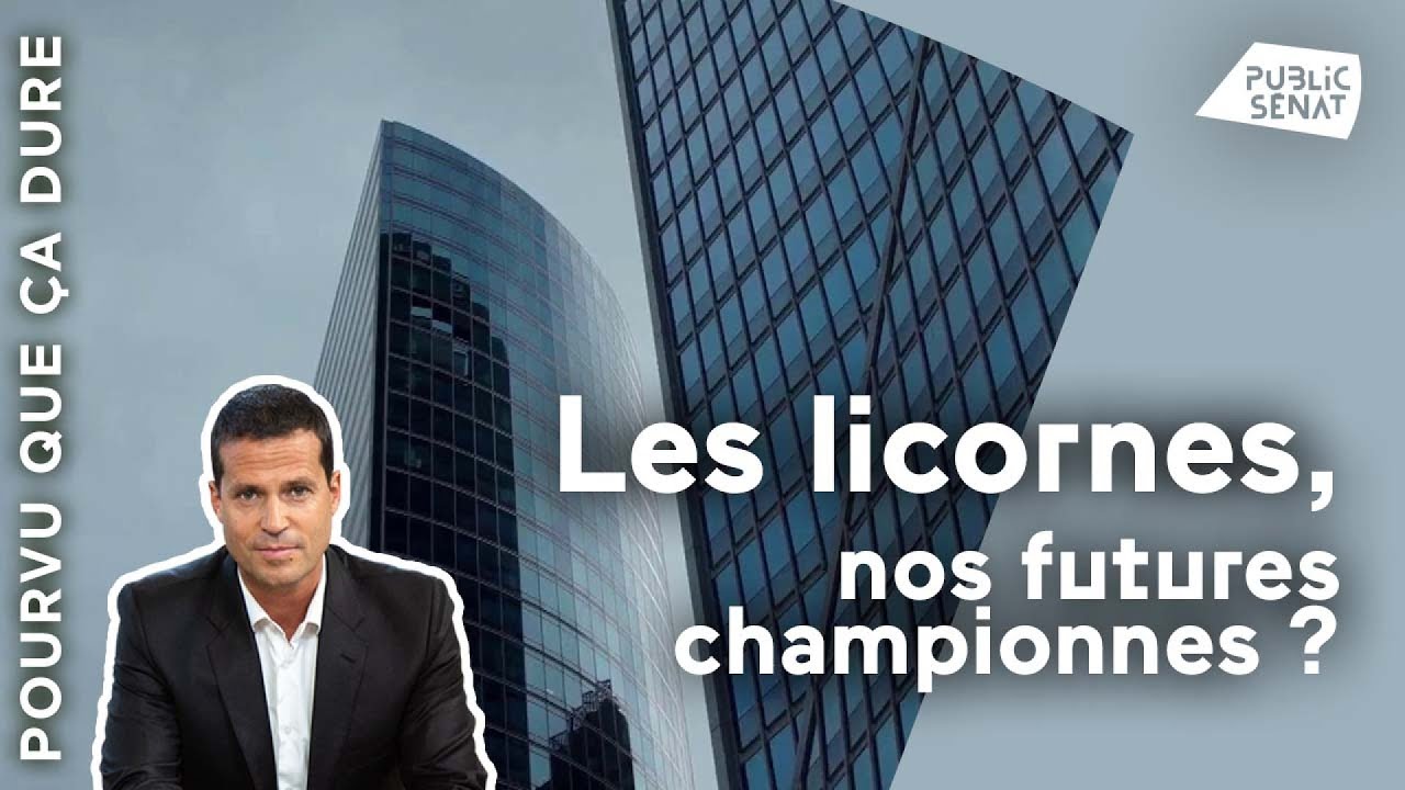 Les start-up licornes, nos futures championnes ?