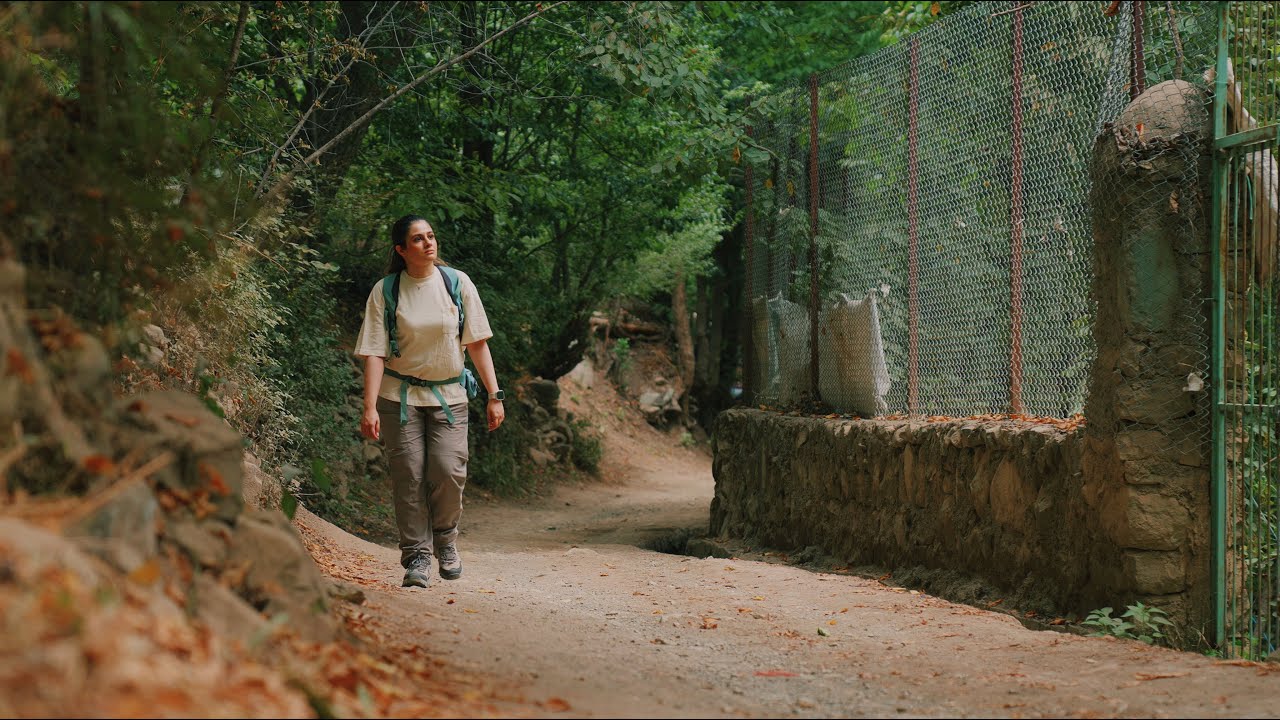 Relaxing Nature Walk | Peaceful Escape for Inner Calm