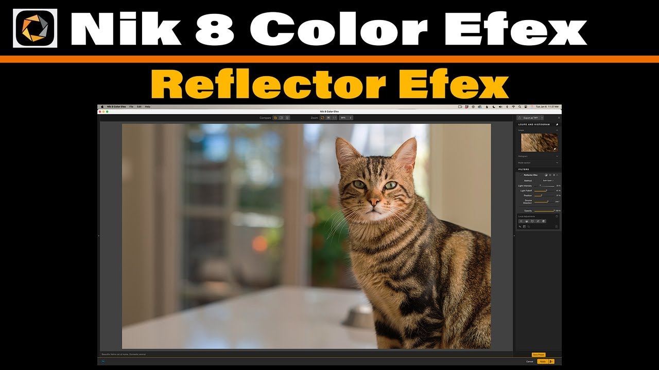 Светоотражатель Reflector Efex в цвете Nik 8 Color Efex | Добавьте естественный заполняющий свет ...