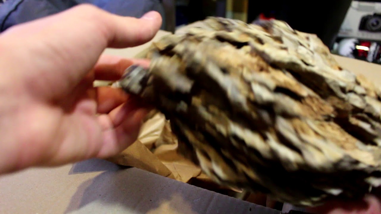 J'AI ACHETER DES PIERRES SUR INTERNET (unboxing okho stone aquarium )Ska&iuml;andshrimp