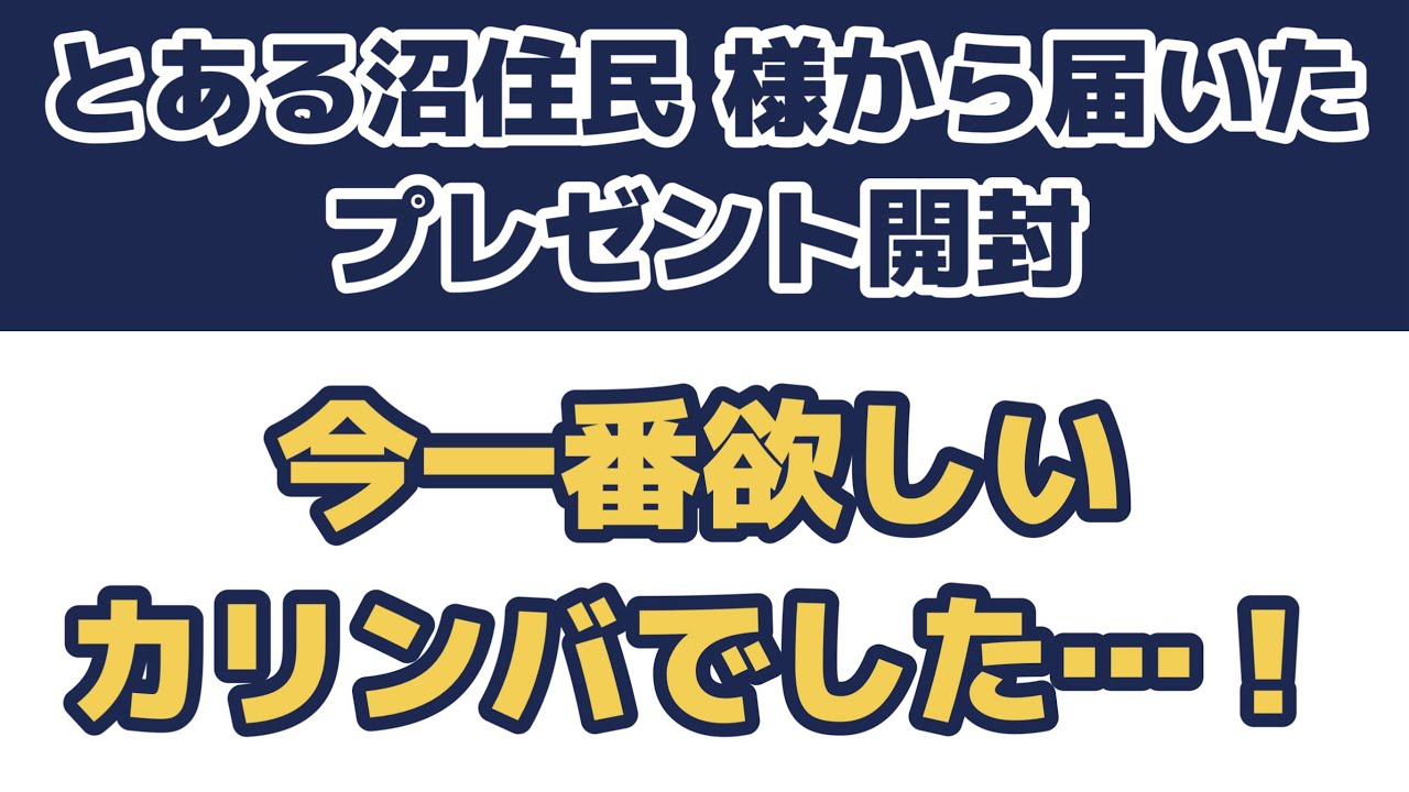 とある沼住民さまから届いたプレゼントを開封したら、今一番欲しかった17音カリンバでした…！
