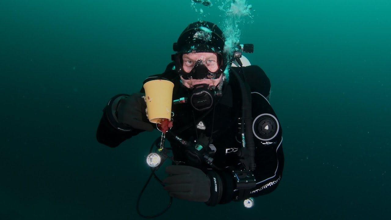 Scuba Weekend in an arctic archipelago - Northern Norway