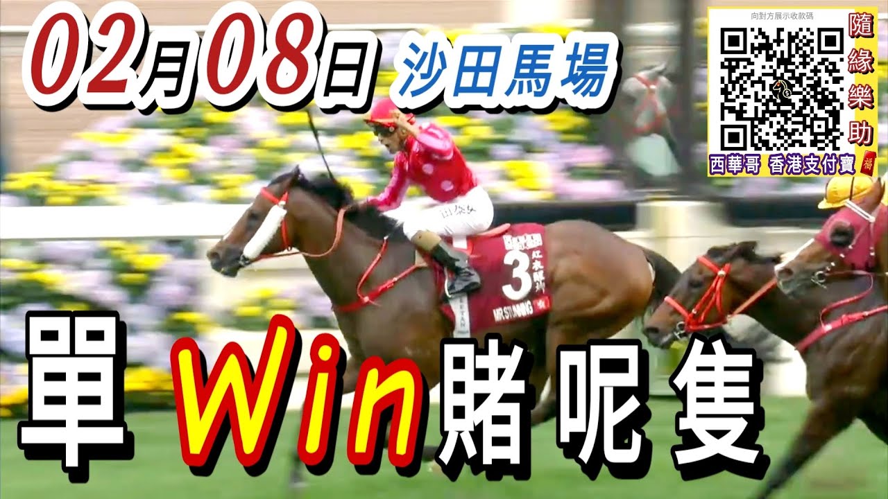 單棍 第二場 ,第三場 ,冷敲 第四場  | 梁西華講馬經(2026年02月08日)賽馬粵語旁述 | 馬迷交流 | 沙田泥地草地日賽 香港賽馬