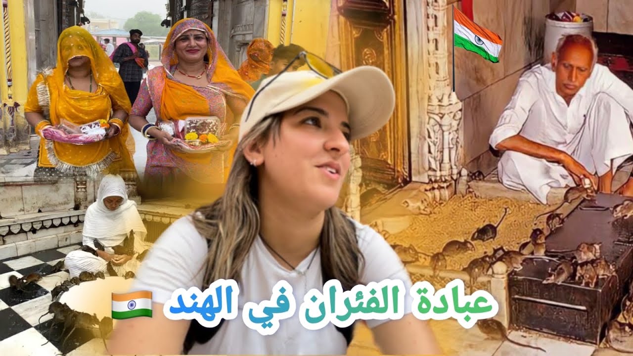 هكذا يعبدون و يقدسون الفئران في الهند 🐀 تصدمت 😨