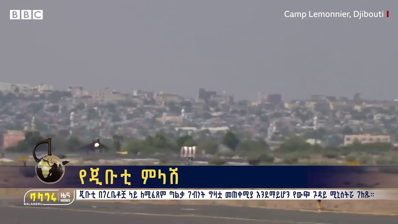 የጂቡቲ ምላሽ