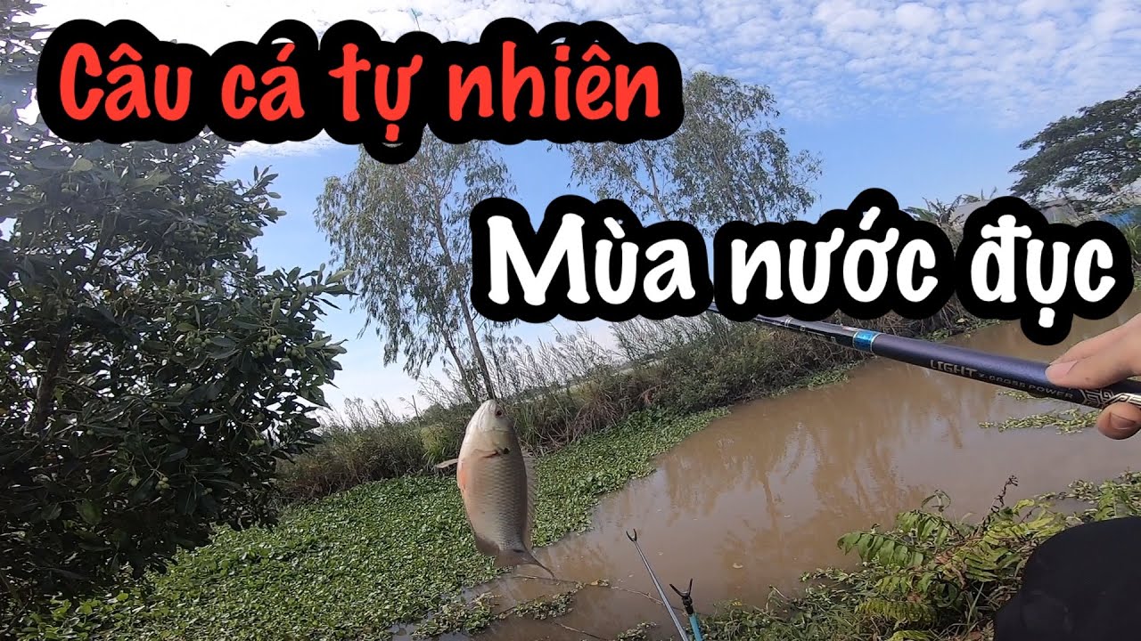 Câu cá tự nhiên đi tìm điểm câu mới và cái kết || Quang Tv