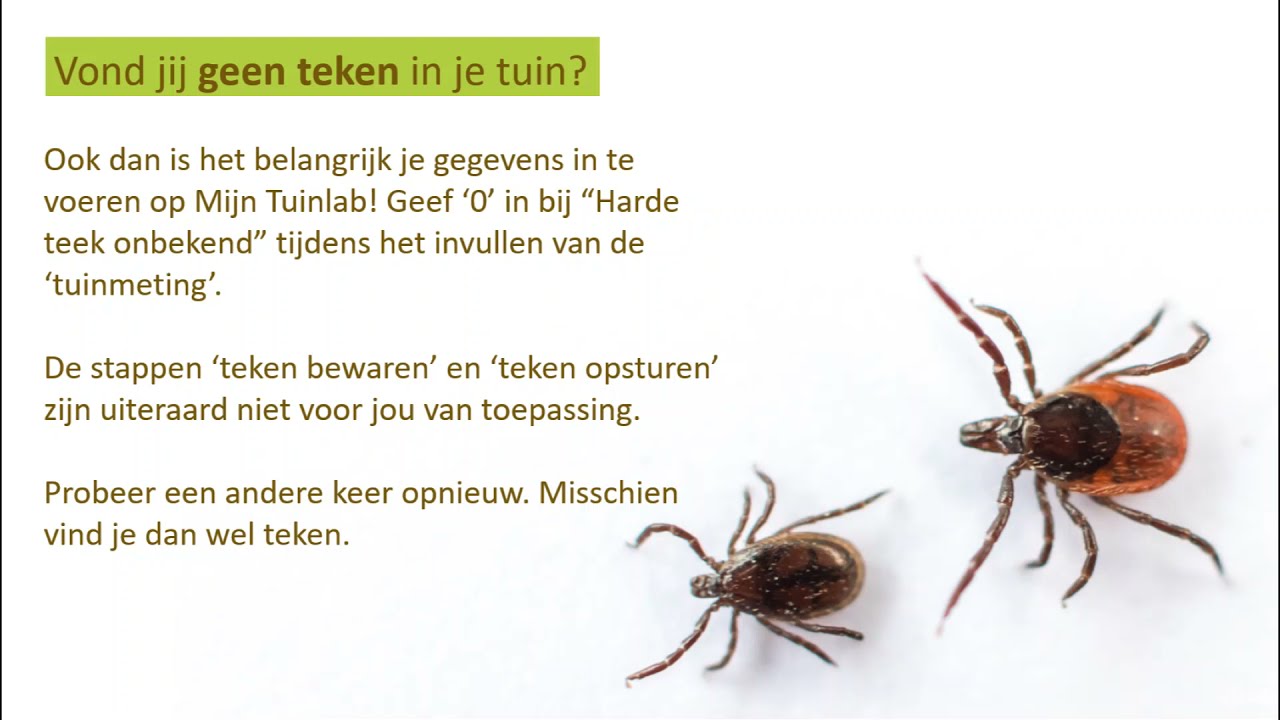 Instructievideo: Wat houdt een deelname in?