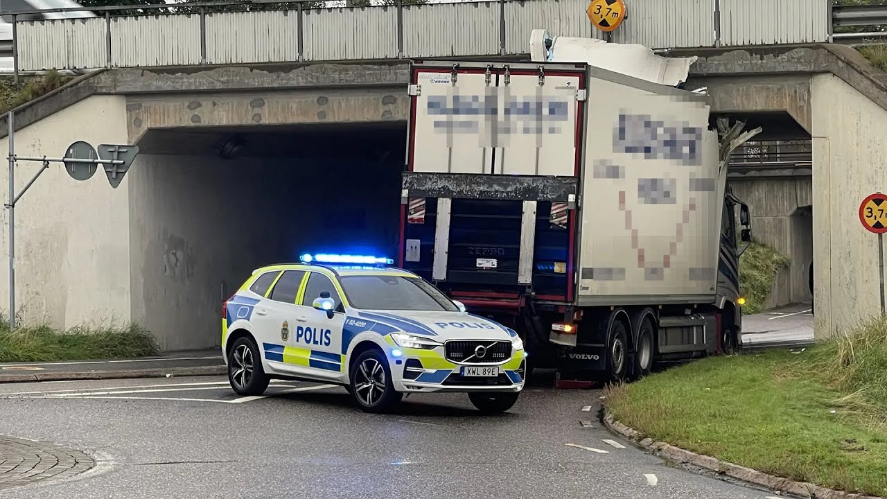 Dashcam truck driver 
