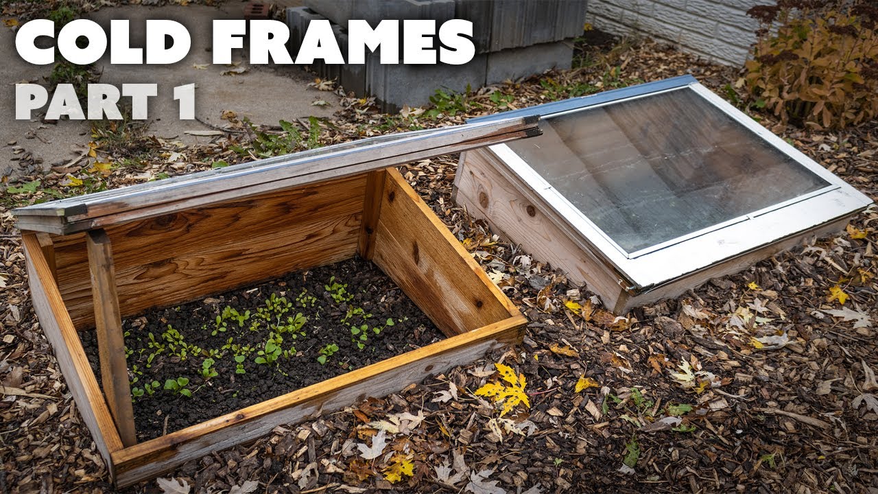 Growing Vegetables in Cold Frames | Part 1