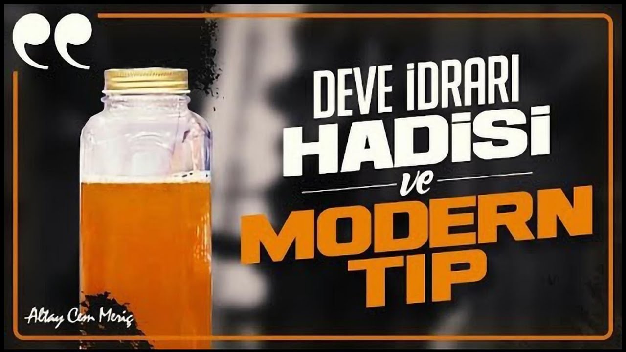 DEVE İDRARI MESELESİ - BİR METİN NASIL OKUNMAZ  ?
